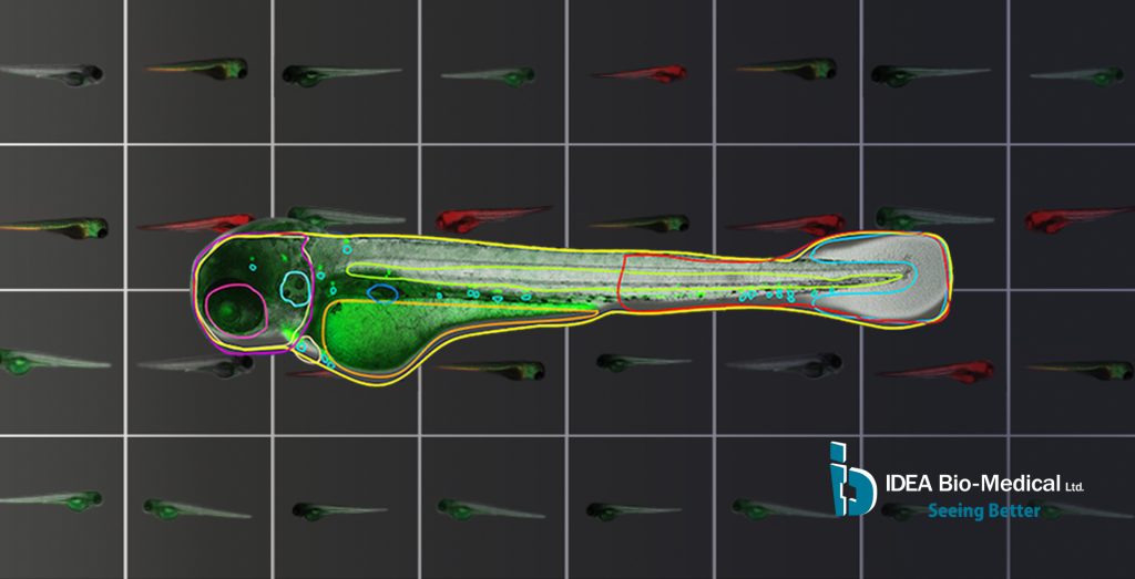 IDEA Bio-Medical社 イメージ分析ソフトウェア – WiSoftⓇ ATHENA